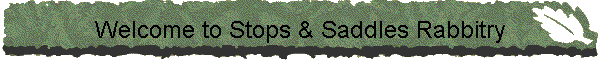 Welcome to Stops & Saddles Rabbitry