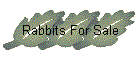 Rabbits For Sale